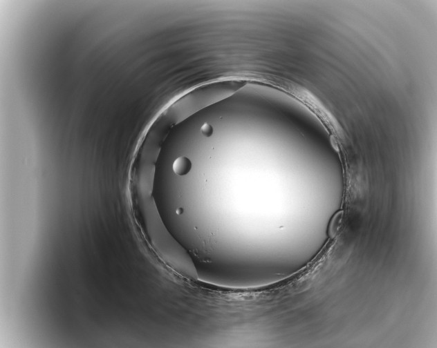 X0000096410908200801311350