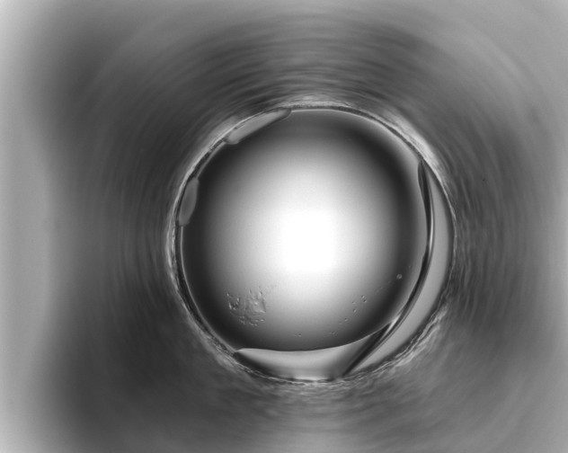 X0000096410909200801311350