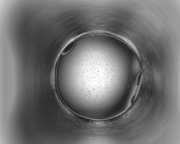 X0000096410911200801311350