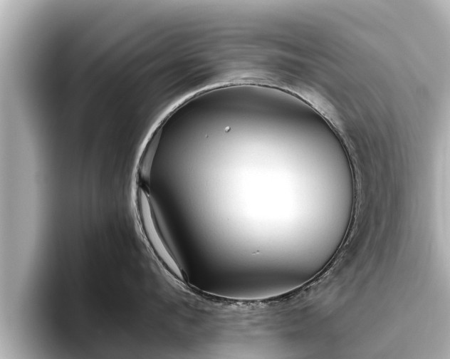 X0000096410912200801311350