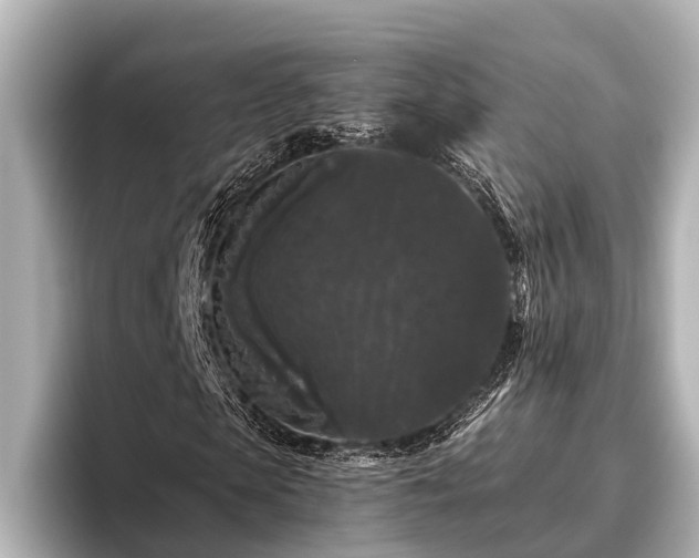 X0000096410913200801311349