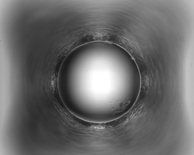 X0000096410914200801311349