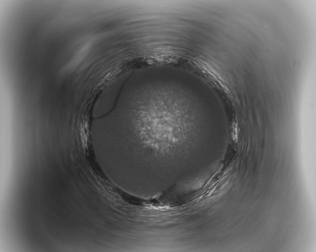 X0000096410915200801311349
