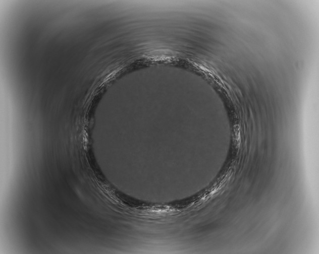 X0000096410916200801311349