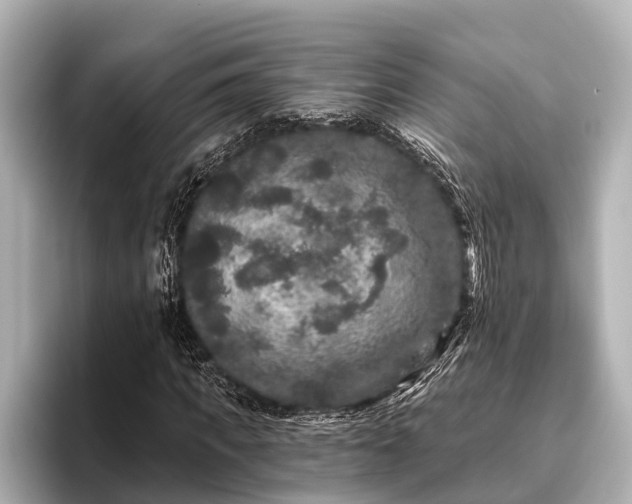X0000096410917200801311349