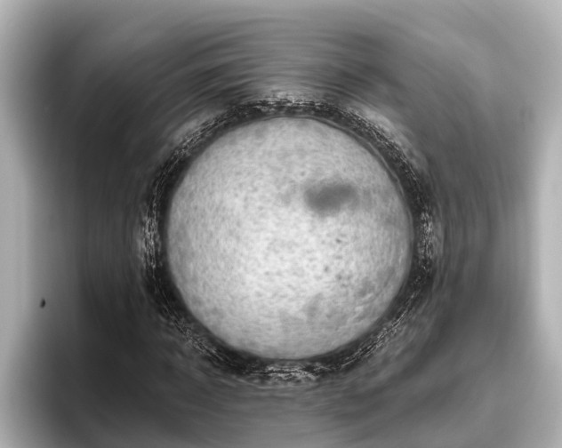 X0000096410918200801311349
