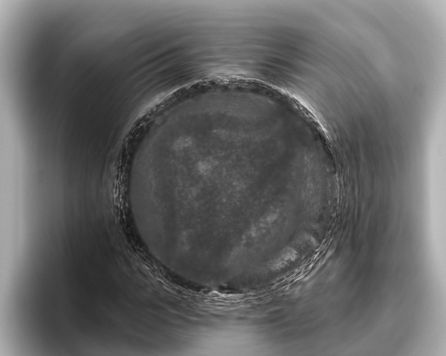 X0000096410919200801311349