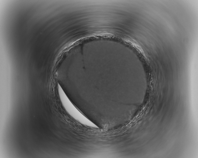 X0000096410920200801311349