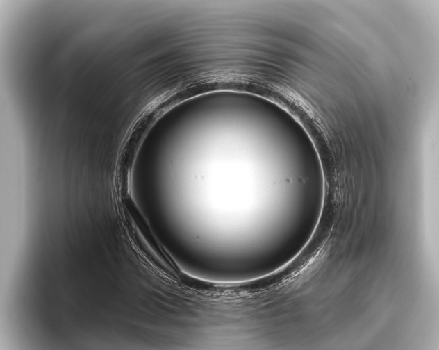 X0000096410922200801311349