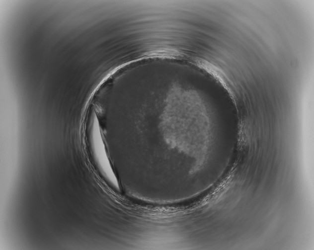 X0000096410923200801311349