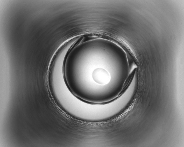 X0000096410924200801311349