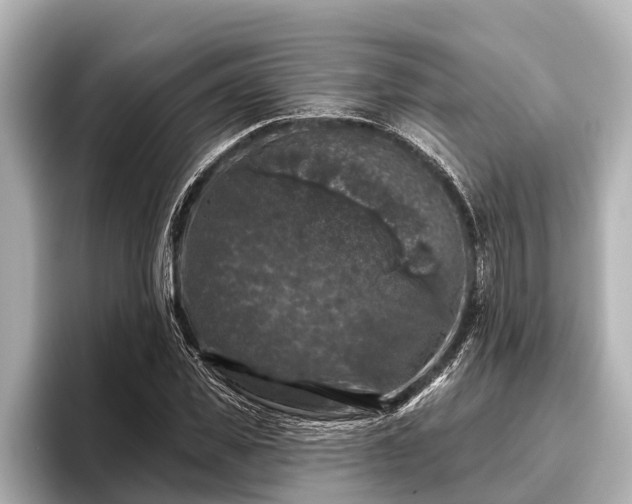 X0000096410925200801311349
