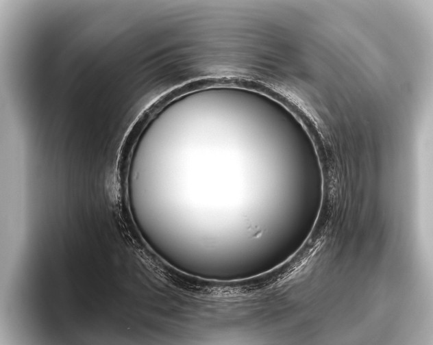 X0000096410927200801311349
