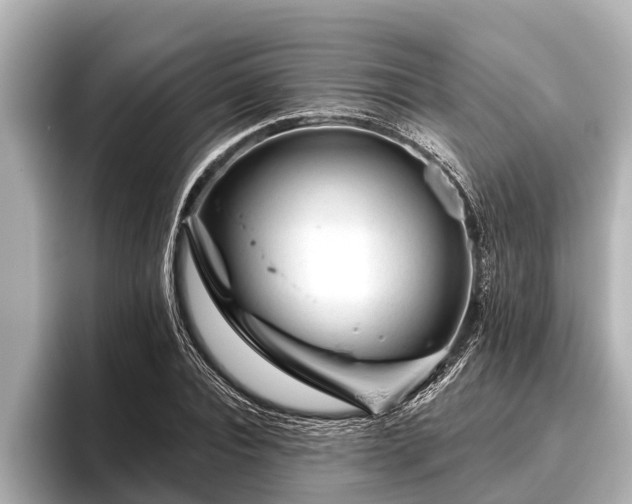 X0000096410928200801311349