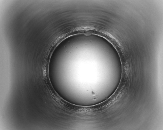 X0000096410929200801311349