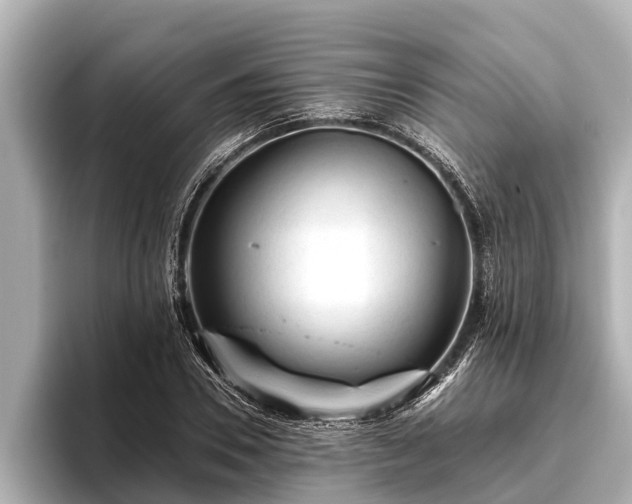 X0000096410930200801311349