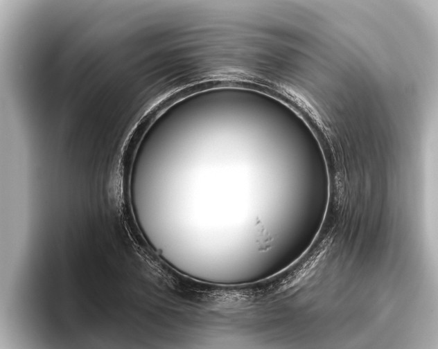 X0000096410931200801311349