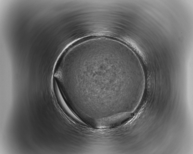 X0000096410932200801311349