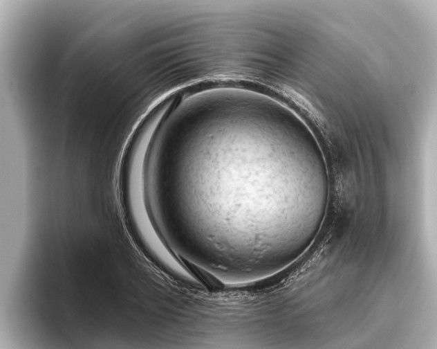 X0000096410934200801311349