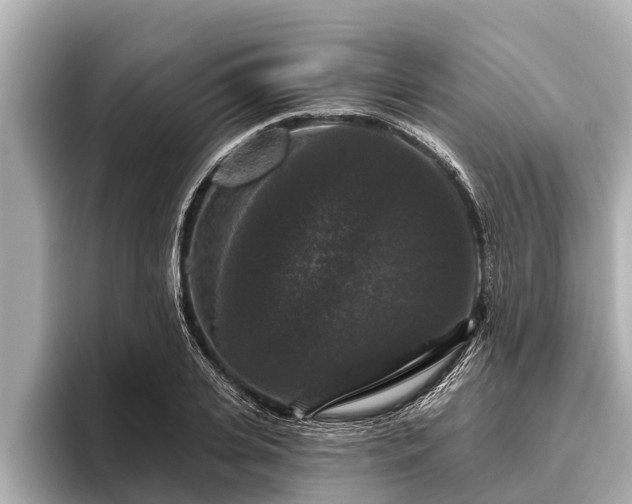 X0000096410935200801311349