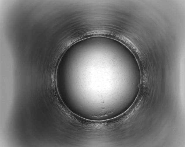 X0000096410937200801311349