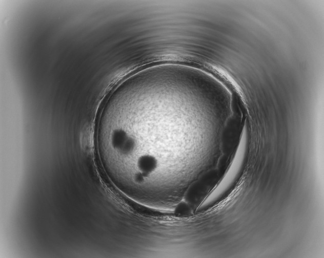 X0000096410938200801311349