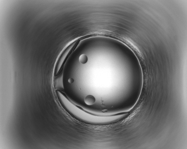 X0000096410940200801311349