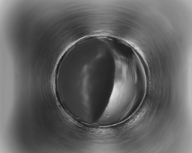 X0000096410941200801311349