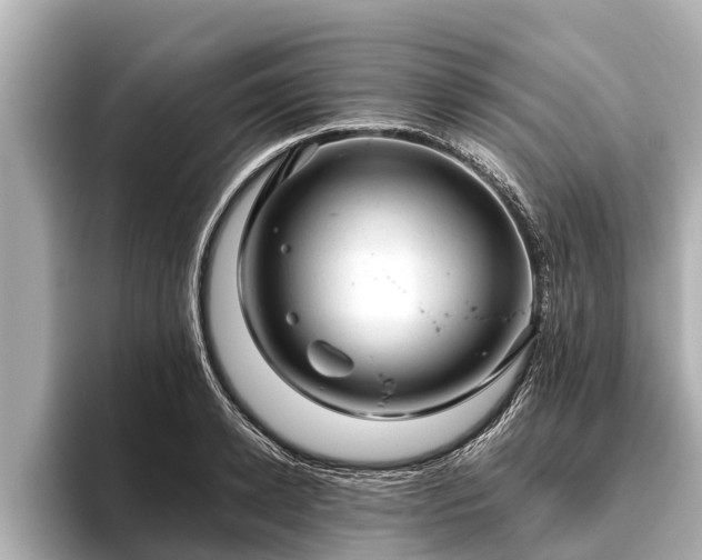 X0000096410942200801311349