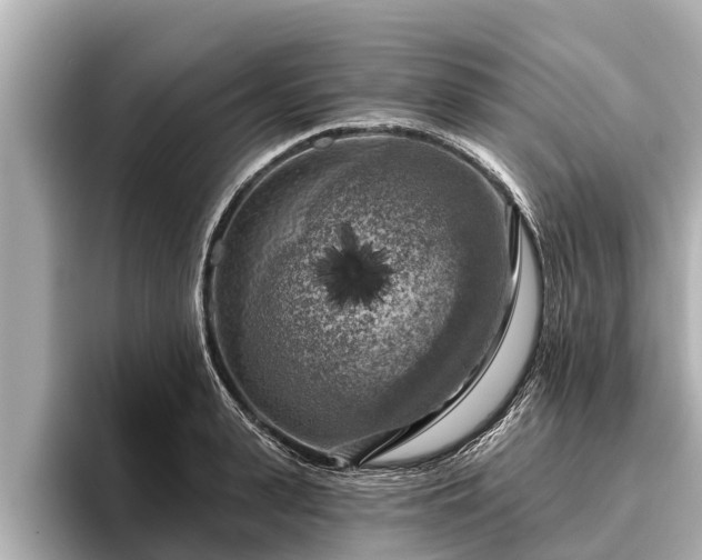 X0000096410943200801311349