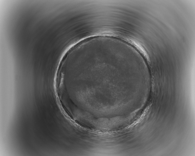 X0000096410944200801311349