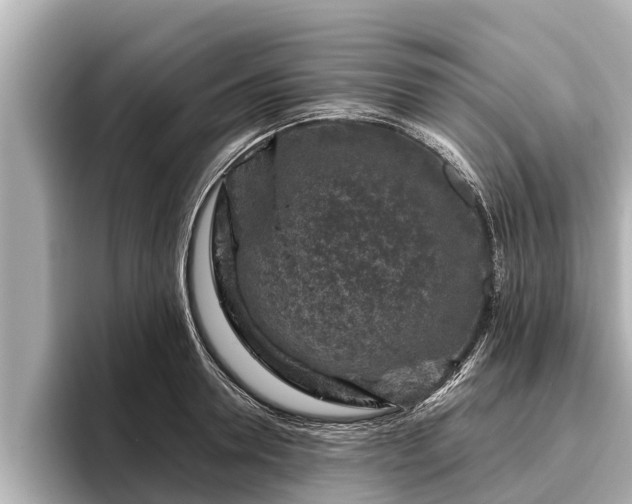 X0000096410946200801311349