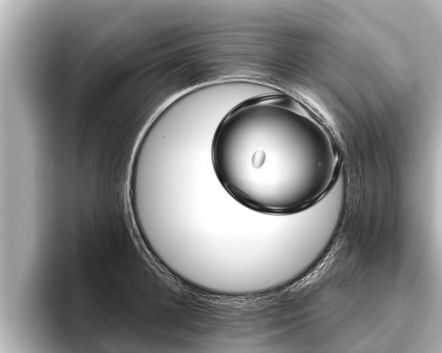 X0000096410948200801311349
