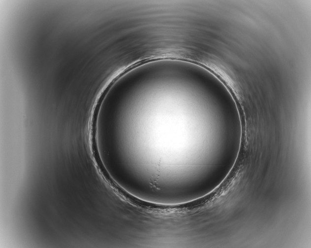 X0000096410949200801311349