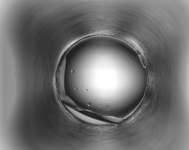 X0000096410952200801311350