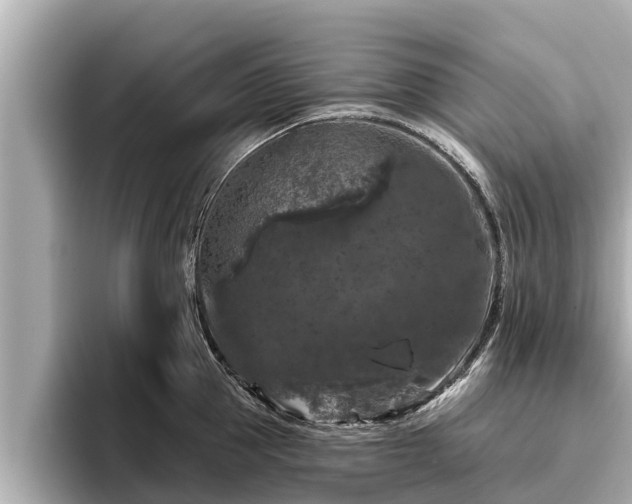 X0000096410953200801311350