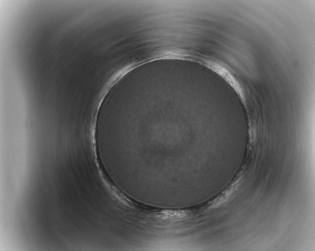 X0000096410954200801311350