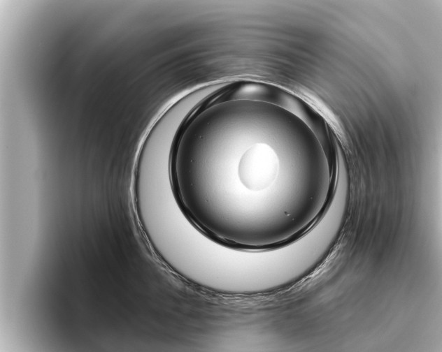 X0000096410956200801311350