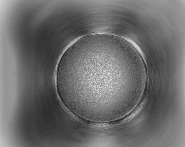 X0000096410957200801311350