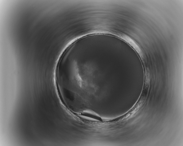 X0000096410958200801311350