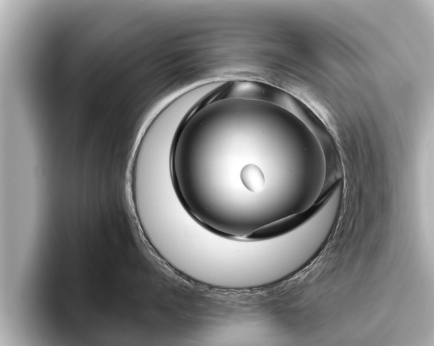 X0000096410960200801311350