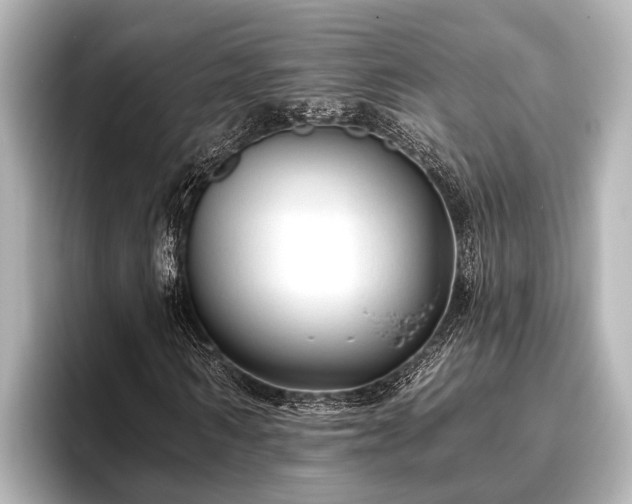 X0000096410962200801311349