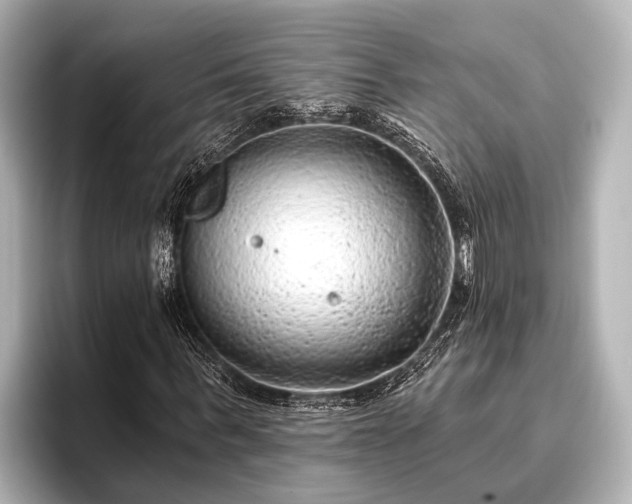 X0000096410963200801311349