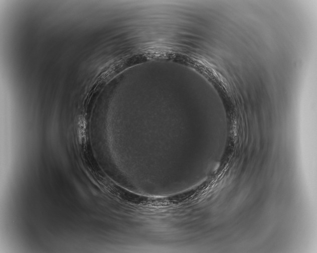 X0000096410964200801311349