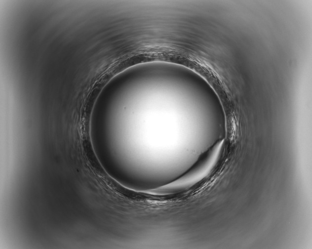 X0000096410965200801311349