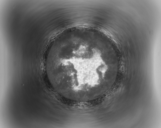 X0000096410966200801311349