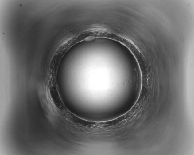 X0000096410967200801311349