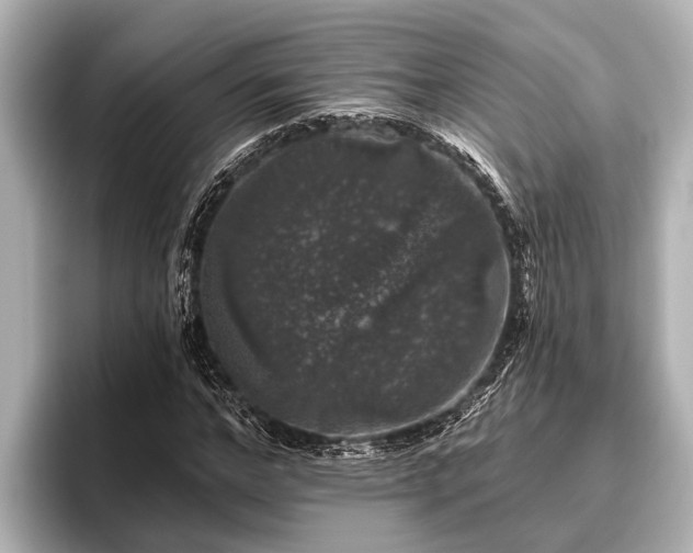 X0000096410968200801311349