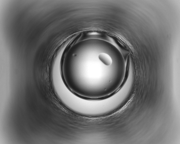 X0000096410969200801311349