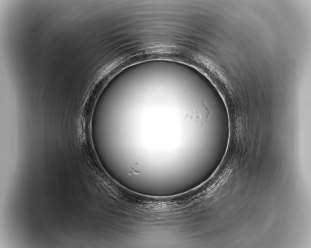 X0000096410970200801311349